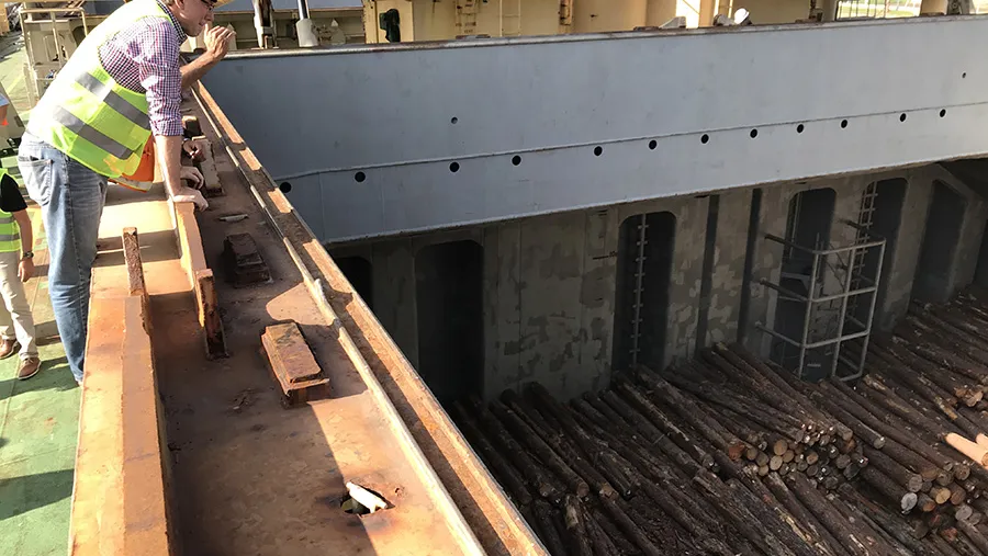 El ministro Bahillo observa la bodega del buque TS Honour que está cargando 20 mil toneladas de troncos de madera de pino con destino a China. El ministro Bahillo observa la bodega del buque TS Honour que está cargando 20 mil toneladas de troncos de madera de pino con destino a China.