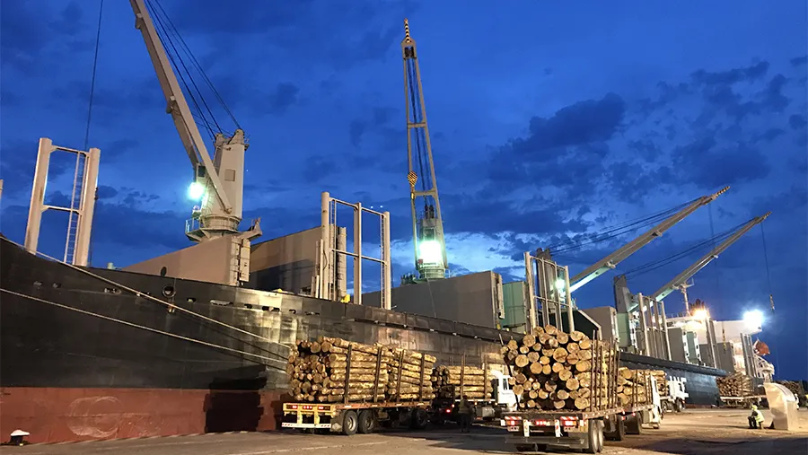 Un nuevo operador logístico y de exportaciones se incorporó al puerto de Concepción del Uruguay, por lo que se sumarán nuevos embarques desde esta terminal.
