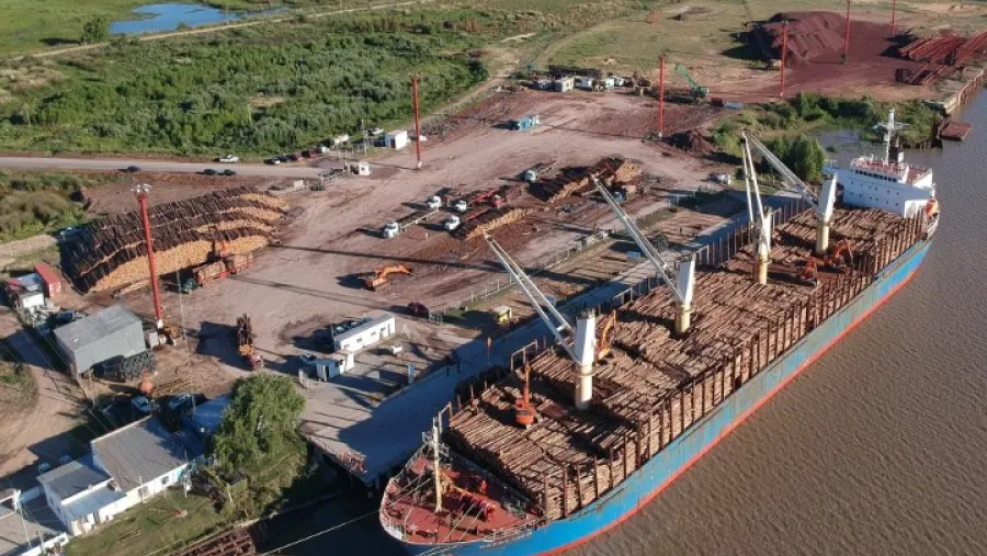 El Puerto de Ibicuy realizó embarques por casi 200 mil toneladas en 2020