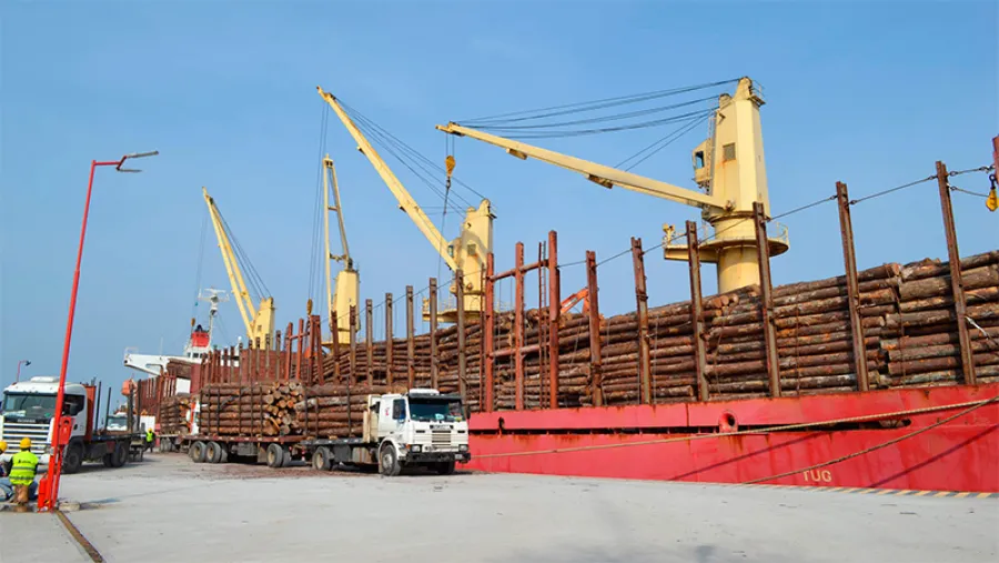 carga de madera Puerto de Ibicuy