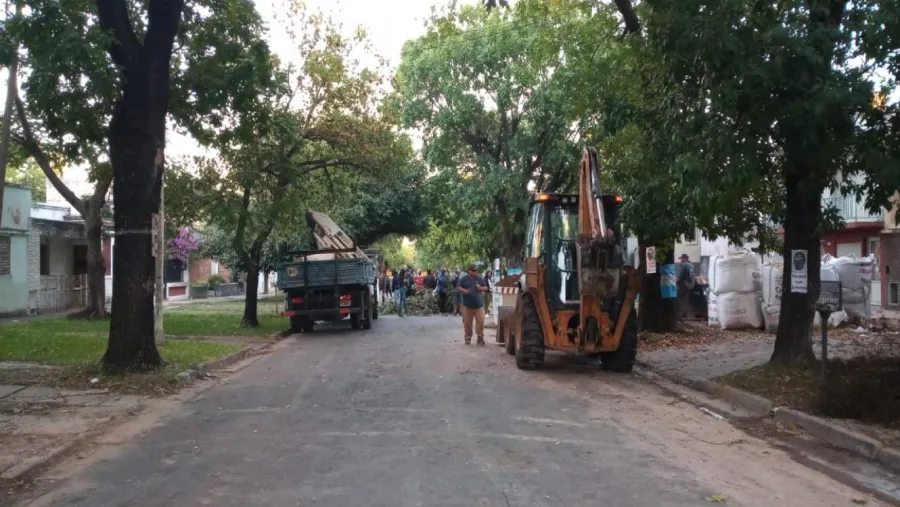 Revuelta y medioambiente Revuelta y medioambiente