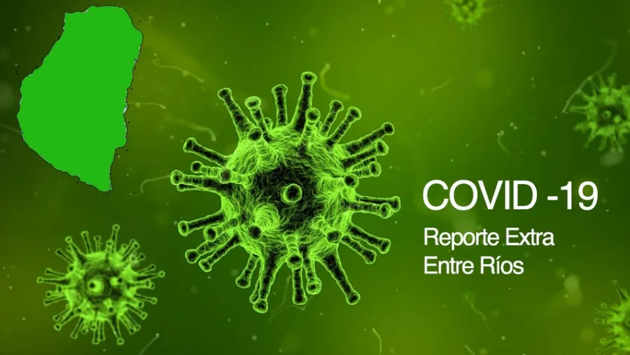 Reporte Reporte