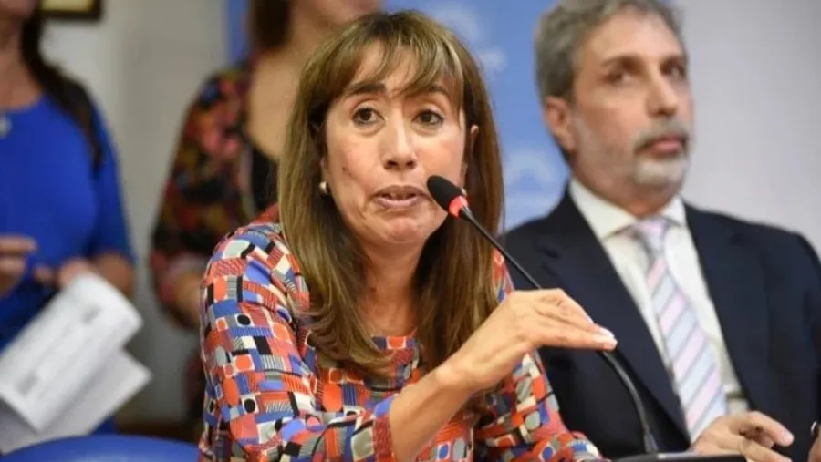 La diputada radical Roxana Reyes