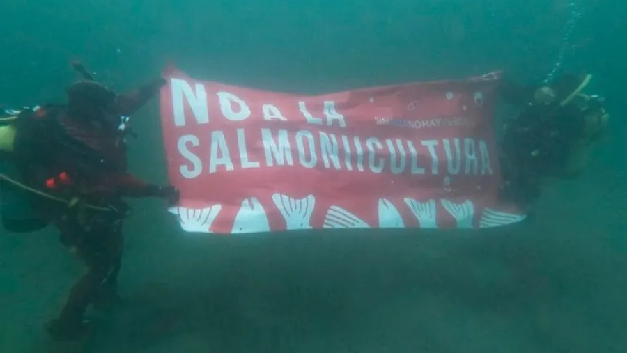 Tierra del Fuego prohibió las salmoneras en el Canal de Beagle