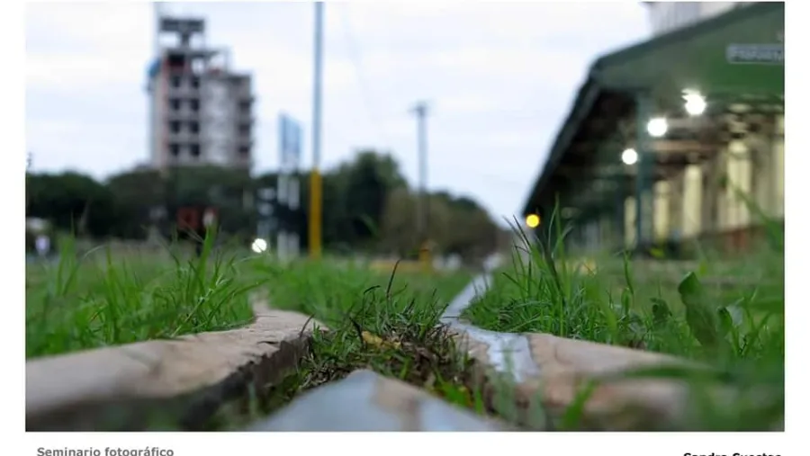 Cómo lograr una foto