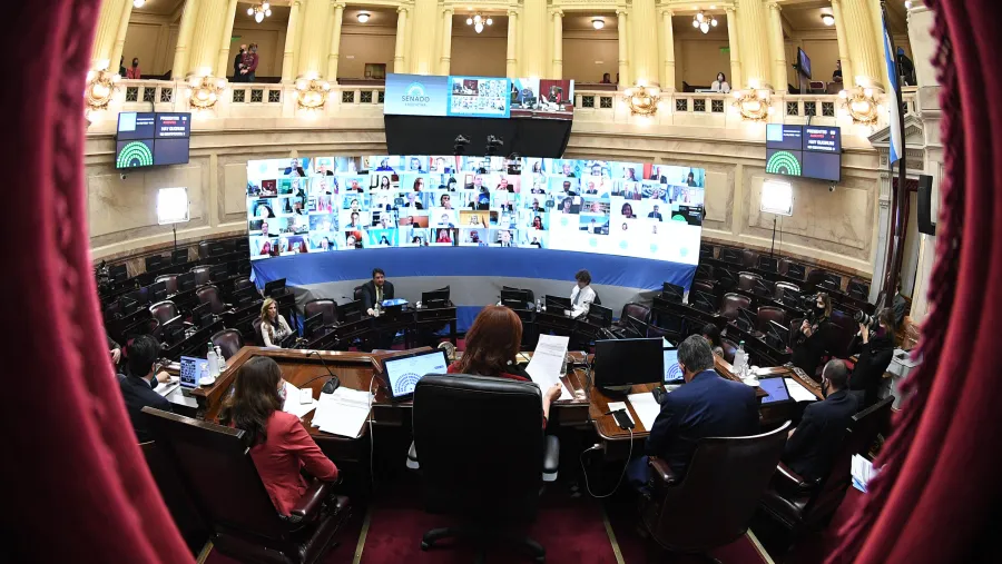 Por primera vez, el Senado nacional votó tres leyes en forma remota