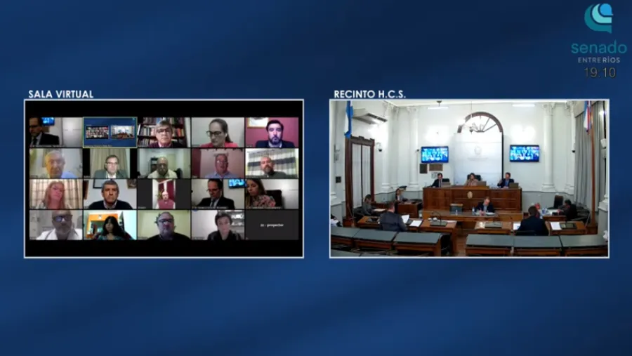 La Cámara de Senadores tuvo su primera sesión virtual