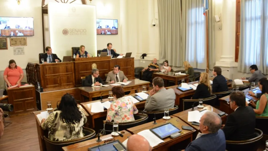 Senado Senado