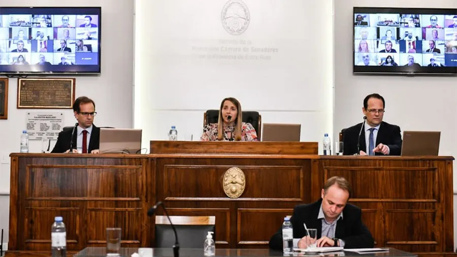 La Cámara de Senadores de la provincia realizó 21 sesiones durante el año, trató 402 proyectos y sancionó 88 leyes. 