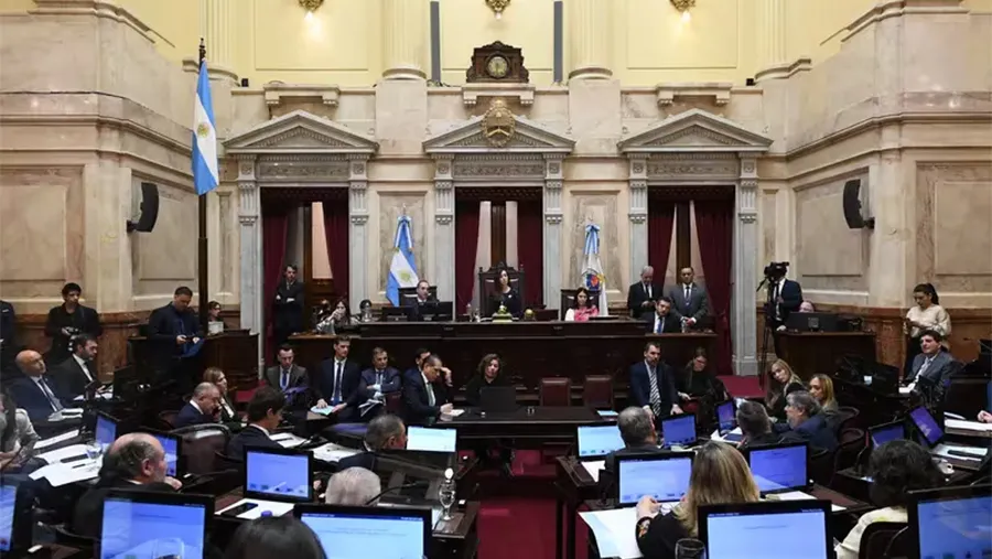 Ahora el Senado discute los artículos de manera particular. Ahora el Senado discute los artículos de manera particular.