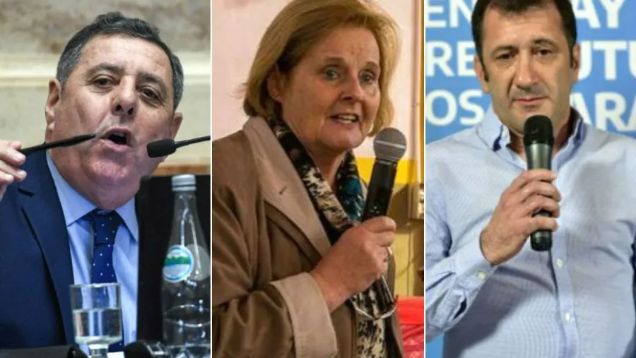 senadores nacionales