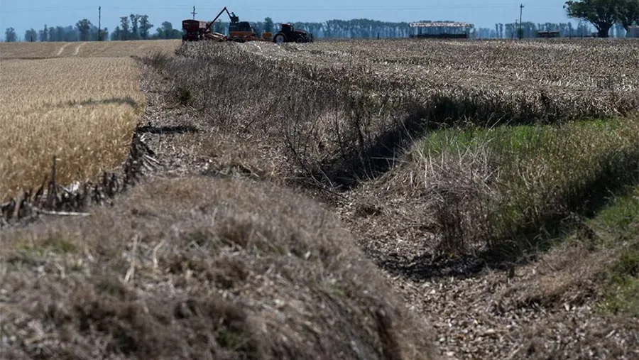 Argentina vive hoy el período de sequía más grave desde 2008. Según datos de la Bolsa de Cereales de Rosario, desde julio de este año faltaron, en el centro del país, entre 200 y 300 milímetros de agua. Argentina vive hoy el período de sequía más grave desde 2008. Según datos de la Bolsa de Cereales de Rosario, desde julio de este año faltaron, en el centro del país, entre 200 y 300 milímetros de agua.