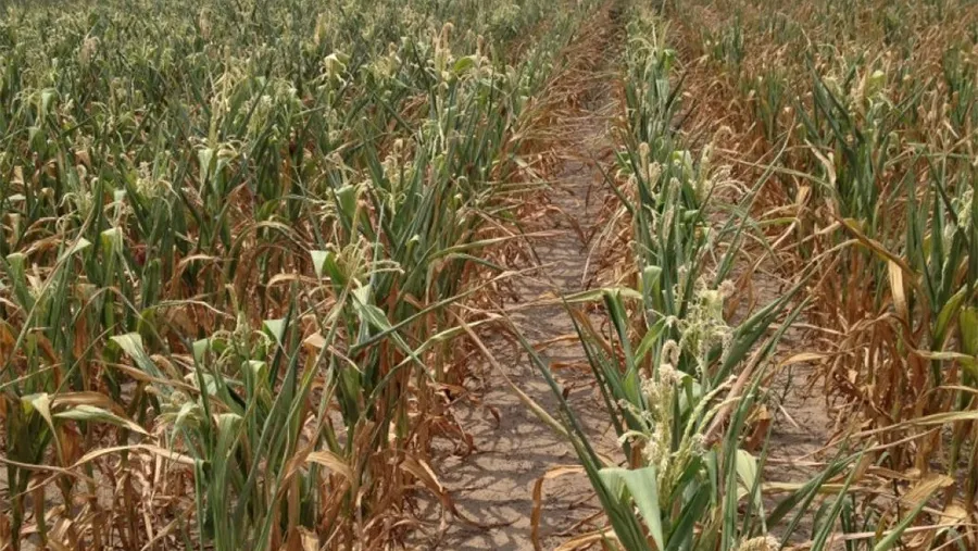 El aumento constante de las temperaturas se debe, principalmente, a las concentraciones de gases de efecto invernadero.