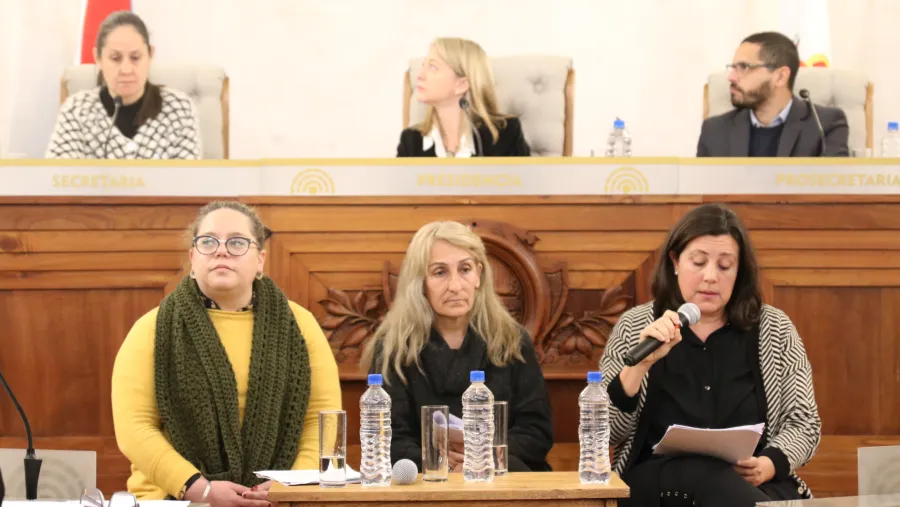 Proteccionistas expusieron sobre la problemática de salud animal en el Concejo Deliberante Proteccionistas expusieron sobre la problemática de salud animal en el Concejo Deliberante