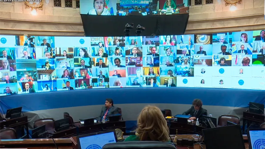 Senado nacional sesión virtual
