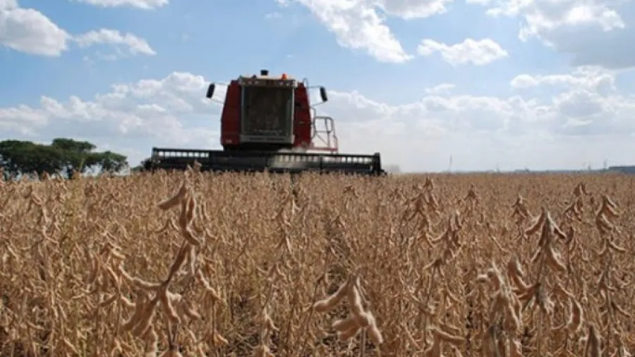 La soja subió casi 2% en Chicago y quedó a un paso de los u$s530