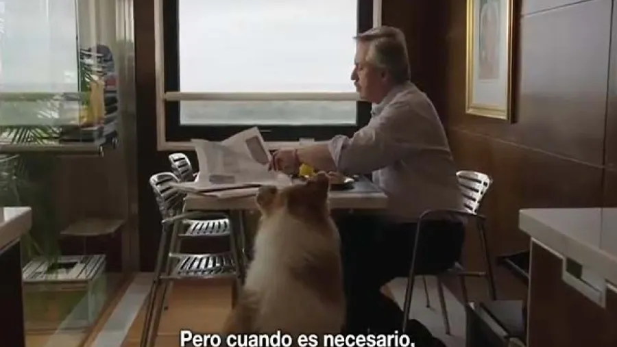 El primer spot de Alberto Fernández, con Cristina y su perro Dylan como protagonistas El primer spot de Alberto Fernández, con Cristina y su perro Dylan como protagonistas