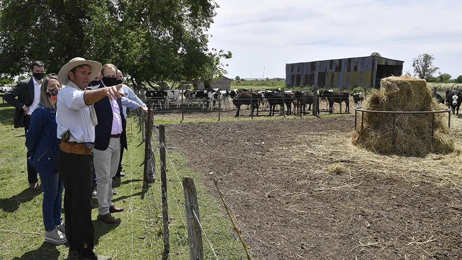 El gobernador Gustavo Bordet, firmó el decreto para la Licitación Pública con el objetivo de adquirir un equipamiento destinado al Laboratorio Regional de Calidad de Leche que depende del Ministerio de Producción. La inversión es de 50 millones de pesos.