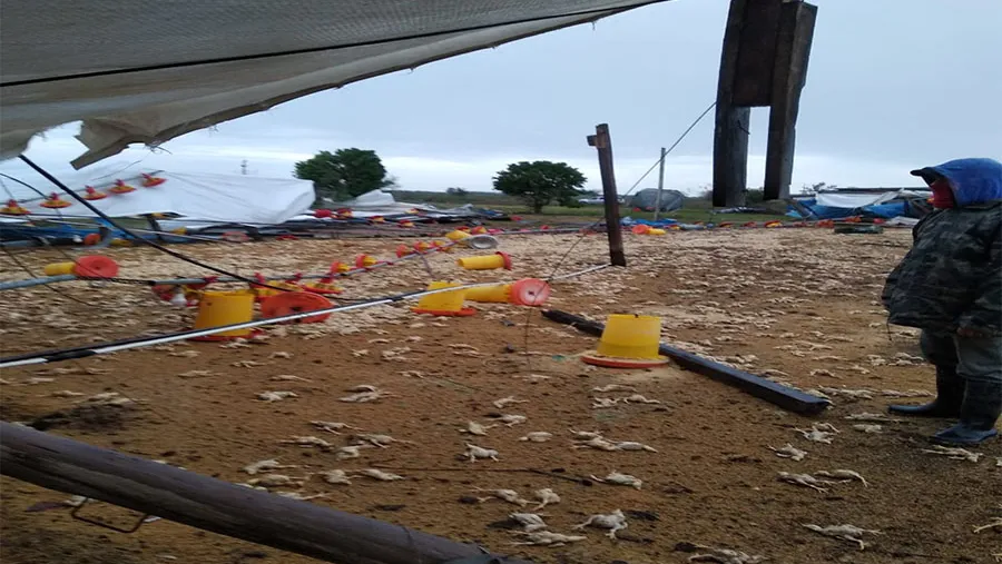 La tormenta acontecida días atrás afectó zonas productivas en los Departamentos Federación, Colón, Uruguay, Tala y Paraná.