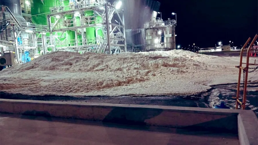La producción está detenida desde el sábado tras romperse una cañería de pulpa de celulosa que, aseguran, no tiene impacto en el ambiente ni en la salud humana.