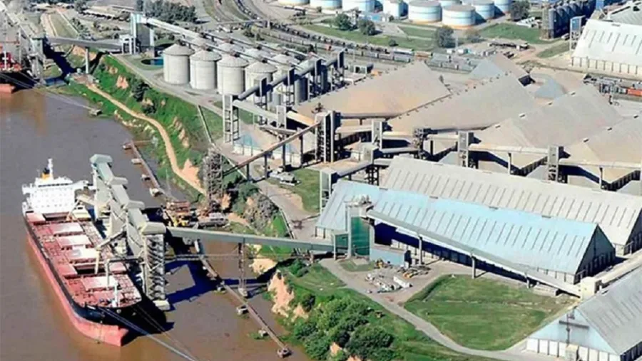 Vicentín Vicentín
