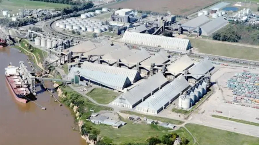 La causa fue iniciada por la AFIP a partir de la supuesta emisión de facturas apócrifas por parte de la agroexportadora. La operatoria denunciada consistía en utilizar, registrar y presentar facturas apócrifas millonarias generadas por 54 presuntos proveedores.