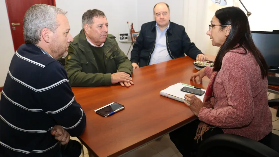 De Angeli en San José