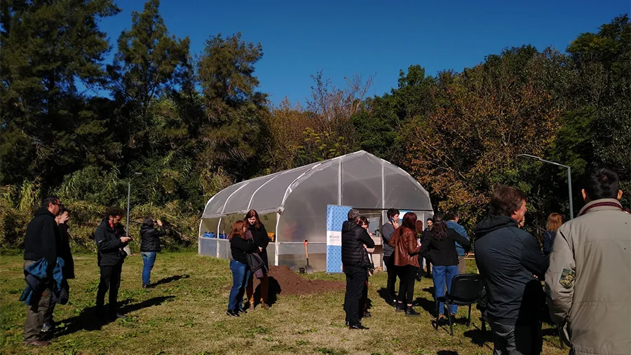 El vivero de plantas nativas está ubicado en la Facultad de Ciencia y Técnica de la Uader, en Oro Verde.
