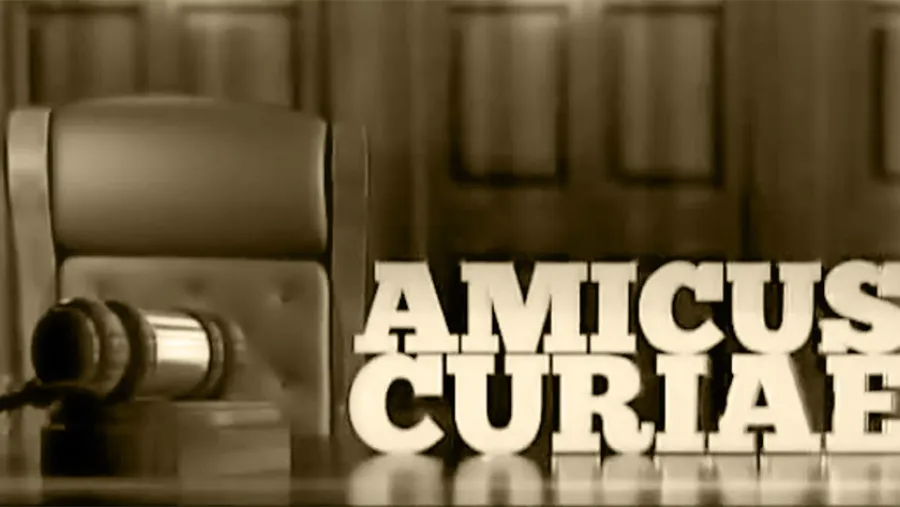 Amicus Curiae Amicus Curiae