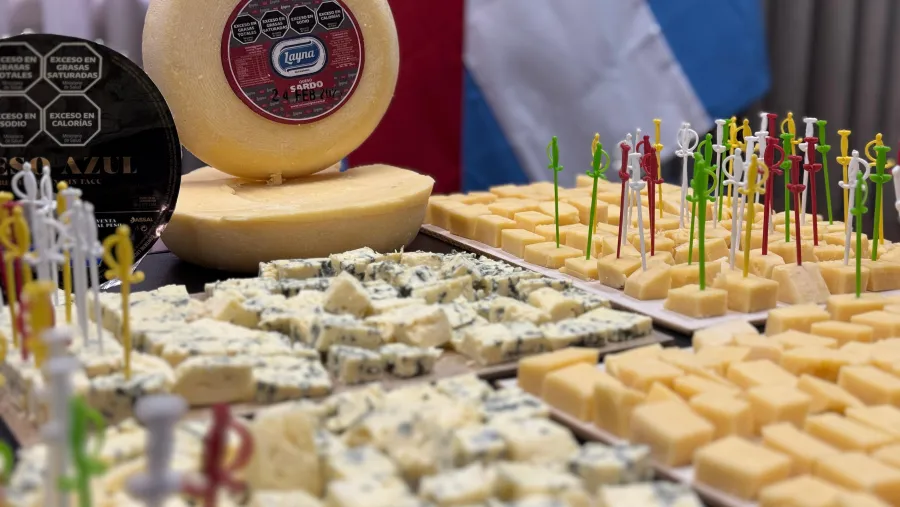 La jornada reunió a empresas del sector, profesionales y especialistas 