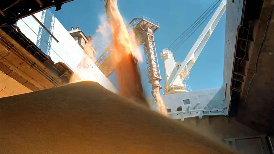 La semana pasada el gobierno anunció la eliminación temporaria de las retenciones para determinados productos del agro, pero el cupo dispuesto se agotó rápidamente.