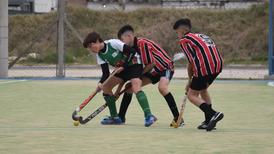Hockey sobre césped