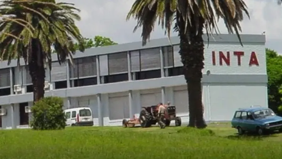 INTA