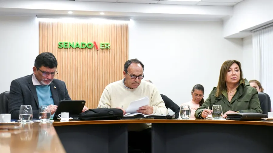 Senadores ER