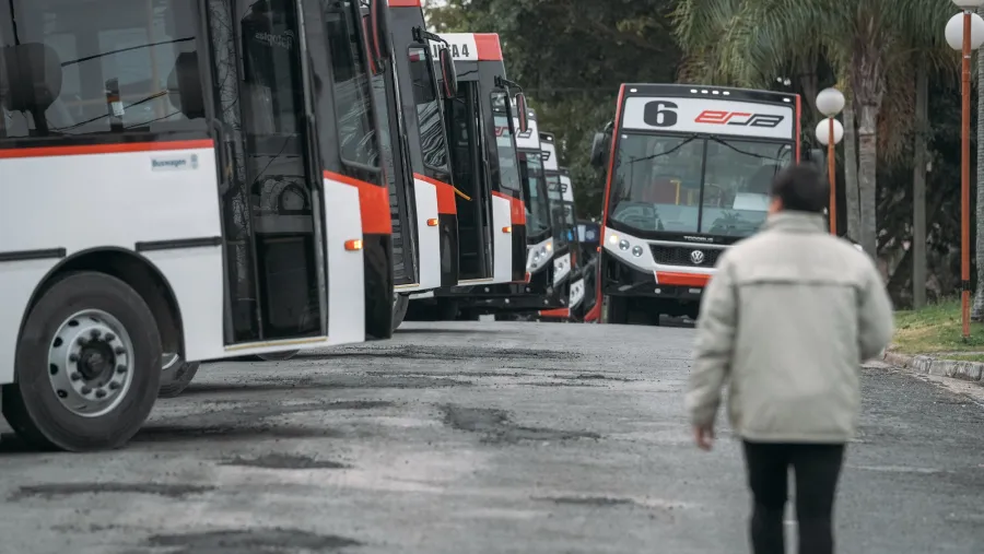 colectivos ERSA