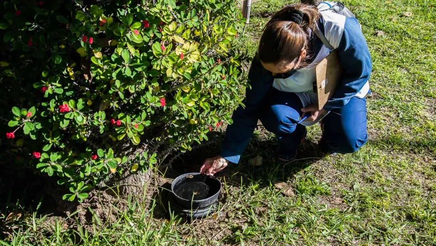 La Paz: aplicaron un bloqueo por dengue. Foto ilustrativa