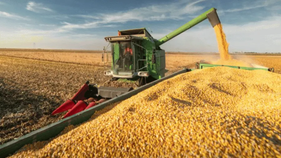 El campo liquidó en el primer semestre la mayor cantidad de divisas en más de 20 años