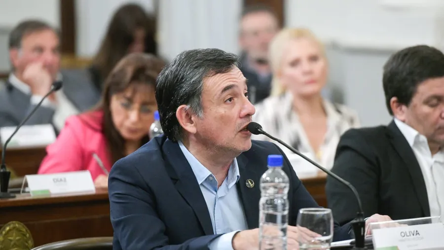 Martín Oliva Senado