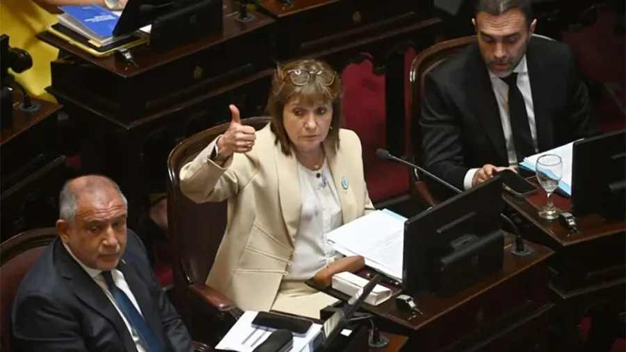 Patricia Bullrich en el Senado 