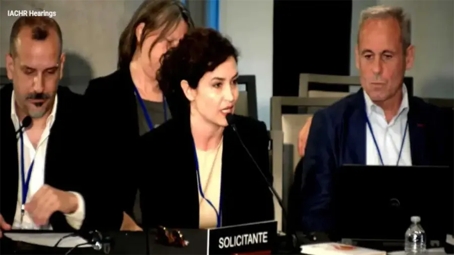 Captura de pantalla de la exposición de los periodistas ante la CIDH sobre los ataques del gobierno de Javier Milei a la libertad de expresión.