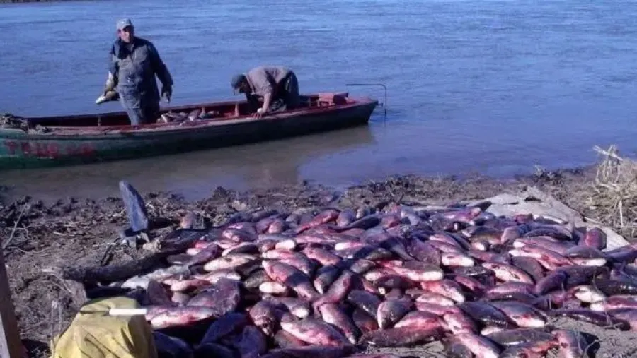 pescadores río Paraná