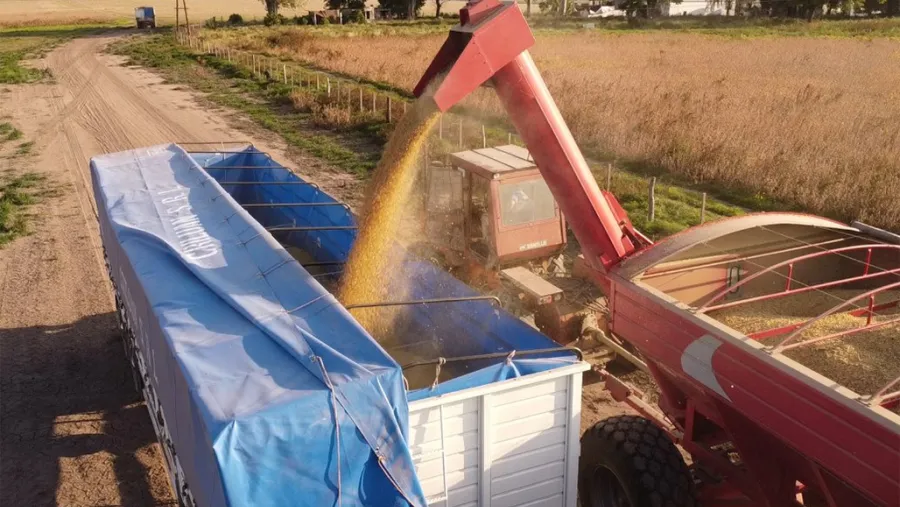 En la Jornada Institucional del Agro se advirtió que para el ciclo 2024/25, Entre Ríos perderá 400 millones de dólares, con foco en los cultivos de soja, maíz, trigo y sorgo.