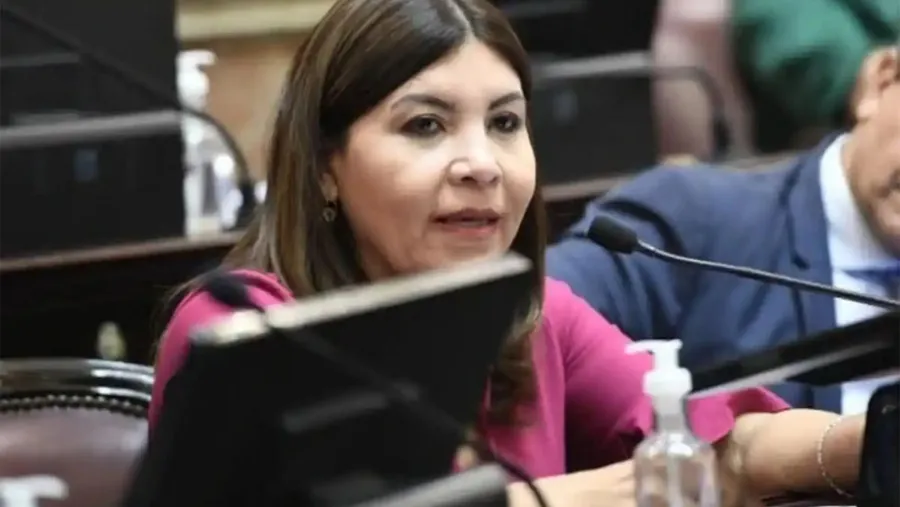 La legisladora Sandra Mendoza dijo que el presidente Javier Milei "ya no tiene sostén político ni social".