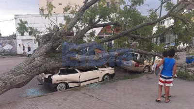 Un árbol aplastó dos autos en la costanera de Gualeguaychú