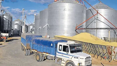 Acopiadores de granos.