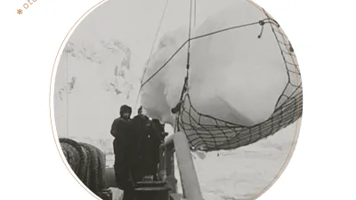 Otoño en la Quimera I