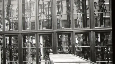 “Prisioneros de la Ciencia”