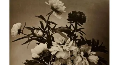 “Clase Cámaras lúdicas: crónicas de la invención de la fotografía”