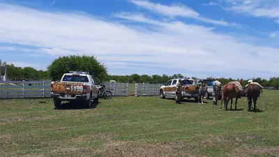 Los veinte caballos secuestrados fueron entregados en carácter de depósito judicial.