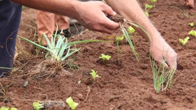 La Unión de los Trabajadores de la Tierra presentó una propuesta para producir cultivos extensivos de cereales, oleaginosas y granos alimenticios agroecológicos en zonas lindantes a escuelas rurales de Entre Ríos.